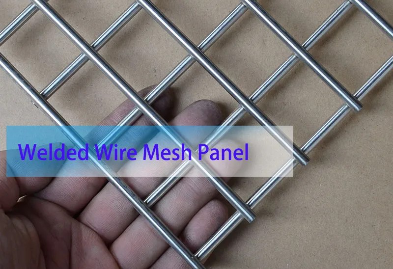 Hot Sale Stainless Steel Welded Wire Mesh Panel 6X6 Welded Wire Mesh Sheet 2X2 PVC Welded Mesh Panel Hot Sale Stainless Steel Welded Wire Mesh Panel 6X6 Welded Wire Mesh Sheet 2X2 PVC Welded Mesh Panel